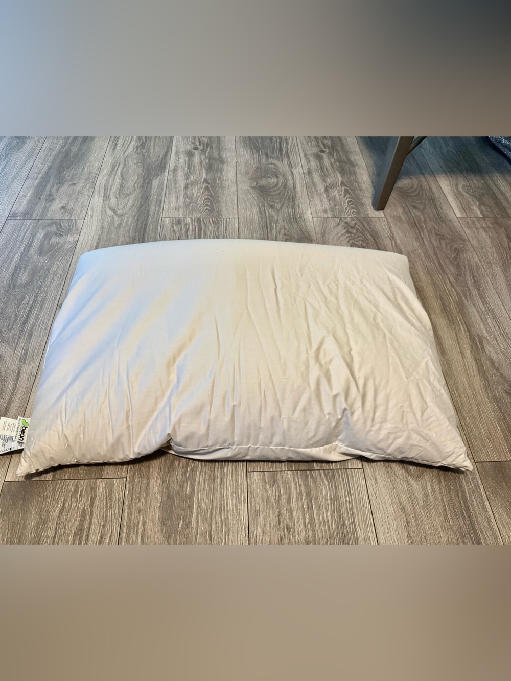 A Beans probucts organic Millet Hull Pillow new in clear wrapper new queen size